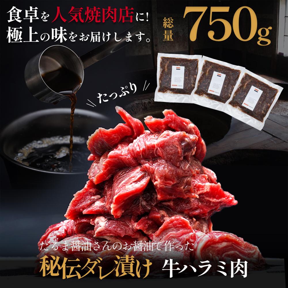 【ふるさと納税】老舗ダルマ 醤油使用！印南町オリジナル熟成タレ漬け牛ハラミ 750g 【BBQ・焼肉用】 | お肉 にく 食品 和歌山県産 人気 おすすめ 送料無料 ギフト セット