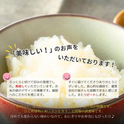 ふるさと納税 南相馬市 ふっくらパックごはん 150g×24 | パックライス パックご飯 パックライス 紅梅夢ファーム |  | 01