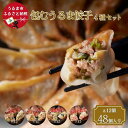 【ふるさと納税】包むうるま餃子 4種セット（島餃子・鶏塩餃子・チャンプルー餃子・車海老餃子）　 餃子　海ぶた　ゴーヤー　チャンプルー　鶏　車海老　沖縄　中華