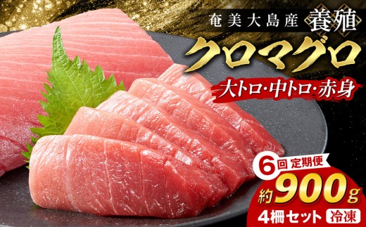 
                  6回定期便 クロマグロ 4柵セット 900g以上 大トロ 中トロ 赤身 冷凍 マグロ まぐろ 黒マグロ クロマグロ 本マグロ 養殖マグロ 冷凍マグロ マグロ刺身 マグロ大トロ 大トロ マグロ中トロ 中トロ マグロ赤身 赤身 海鮮丼 お刺身 お取り寄せ カルパッチョ まぐろ丼 お寿司 手巻き寿司 人気マグロ おすすめマグロ 海鮮 魚介類 魚 さかな 人気 おすすめ 奄美大島 鹿児島県 瀬戸内町
                