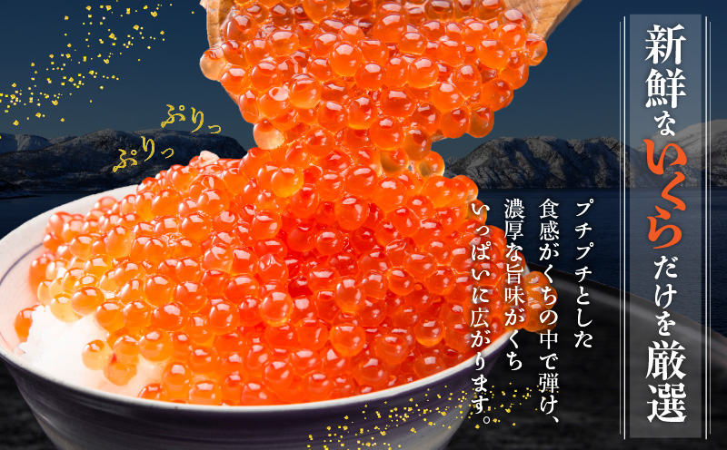【自慢の逸品3セット】アトランティックサーモン 200g×2P ＆ イクラ醤油漬け 80g×2P ＆ 黒毛和牛 極旨 牛丼の素 160g×3袋【食べ比べ 小分け 時短 簡単便利 つまみにもオススメ 北