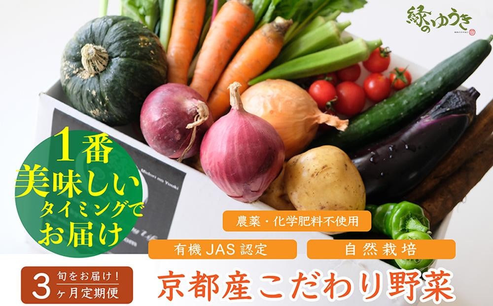 
            ＜3か月定期便＞【緑のゆうき】購入された野菜の売上の1％が、社会貢献に 京都産のこだわり野菜（有機野菜、栽培期間中農薬・化学肥料不使用など）を 美味しいタイミングで収穫したセット
          