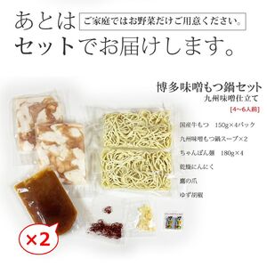 もつ 博多 もつ鍋 セット (九州味噌仕立て) 国産牛もつ 600g 4～6人前