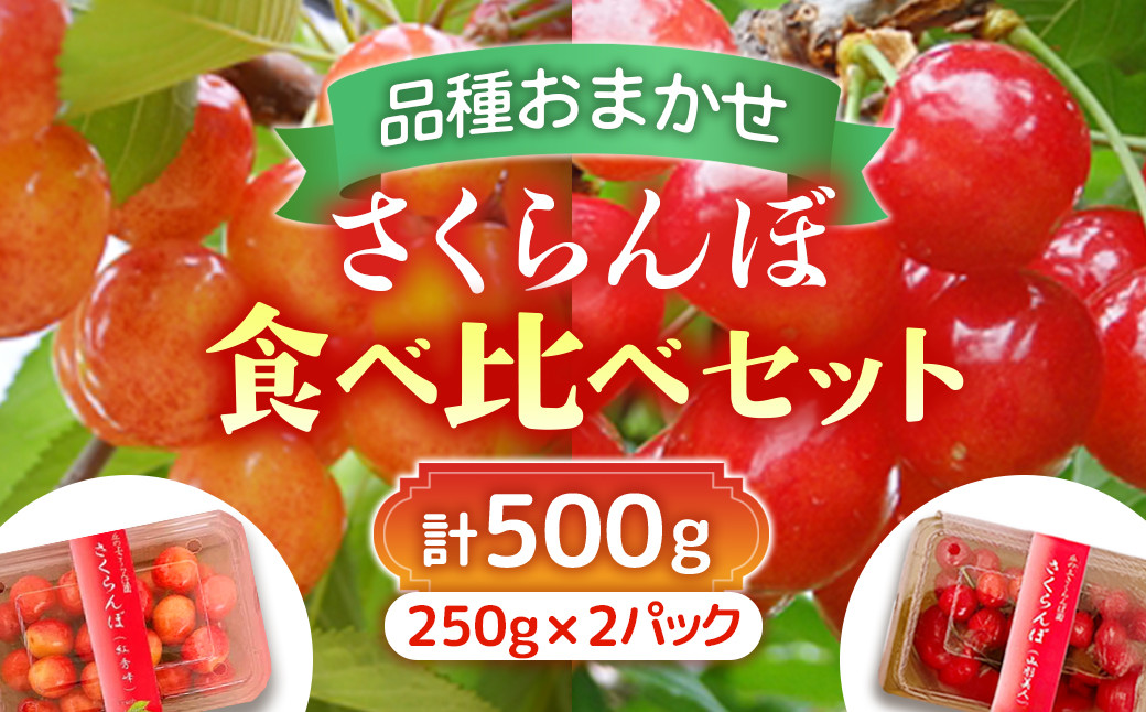 
            A-117【2025年6月から発送予定】さくらんぼ食べ比べセット 500g＜さくらんぼ2種入り　各250g＞　先行予約　さくらんぼ
          
