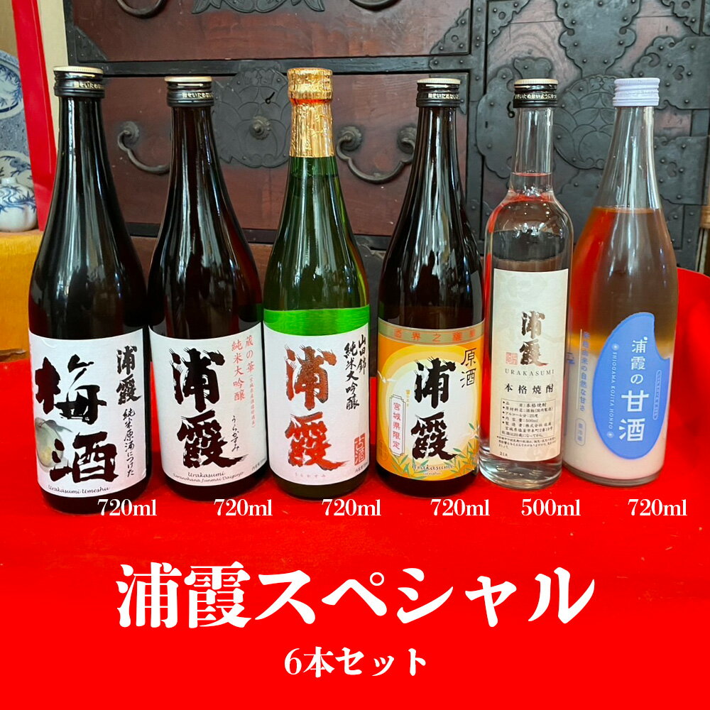 【ふるさと納税】 楽天限定 飲み比べ セット ( 焼酎 日本酒 梅酒 甘酒 原酒 山田錦 純米大吟醸 ) 浦霞スペシャル (6本セット) 飲み比べセット お酒 酒 sake 地酒 浦霞 日本酒 焼酎 梅酒 大吟醸 純米 大吟醸 山田錦 甘酒 米 宮城県 塩竈市 塩釜市 熊久商店 ふるさと納税