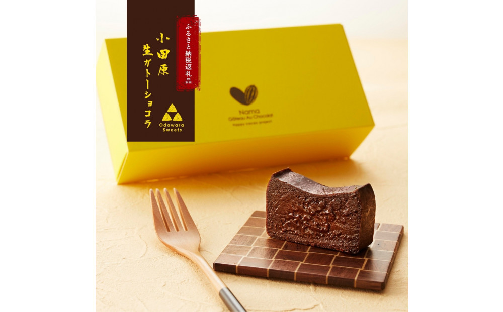 【定期便12ヶ月】幸せの生ガトーショコラ 300g【チョコレート 特濃厚 濃密な味わい 極上の口溶け 極上のチョコレート 一流の料理人 チョコレート本来の味わいと甘み カカオの風味やコク カカオ 至極の逸品 神奈川県 小田原市 】 142069_DW015