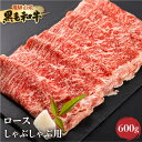 【ふるさと納税】《簡易包装》飛米牛　ロース(リブ/カタロース)　しゃぶしゃぶ 600g(300g×2)[Q2431]