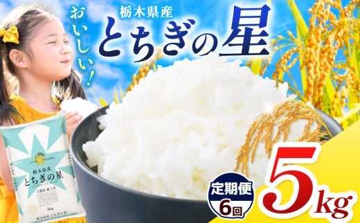 【栃木県共通返礼品】【令和7年度産】栃木県産とちぎの星 30kg |定期便 選べる ふるさと 納税 とちぎの星 お米 精米 白米 玄米 大粒 共通返礼品 送料無料 那珂川町 栃木県