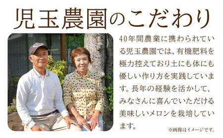 【先行予約】肥後グリーンメロン 2玉 児玉農園 1玉(1.5kg以上)《5月上旬-5月末頃出荷》メロン グリーンメロン 熊本県 玉東町 フルーツ 果物