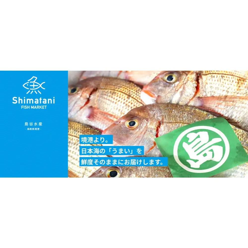 ＜訳あり＞鳥取県産こだわりのアジ開きフライ(30枚/約1.5kg)