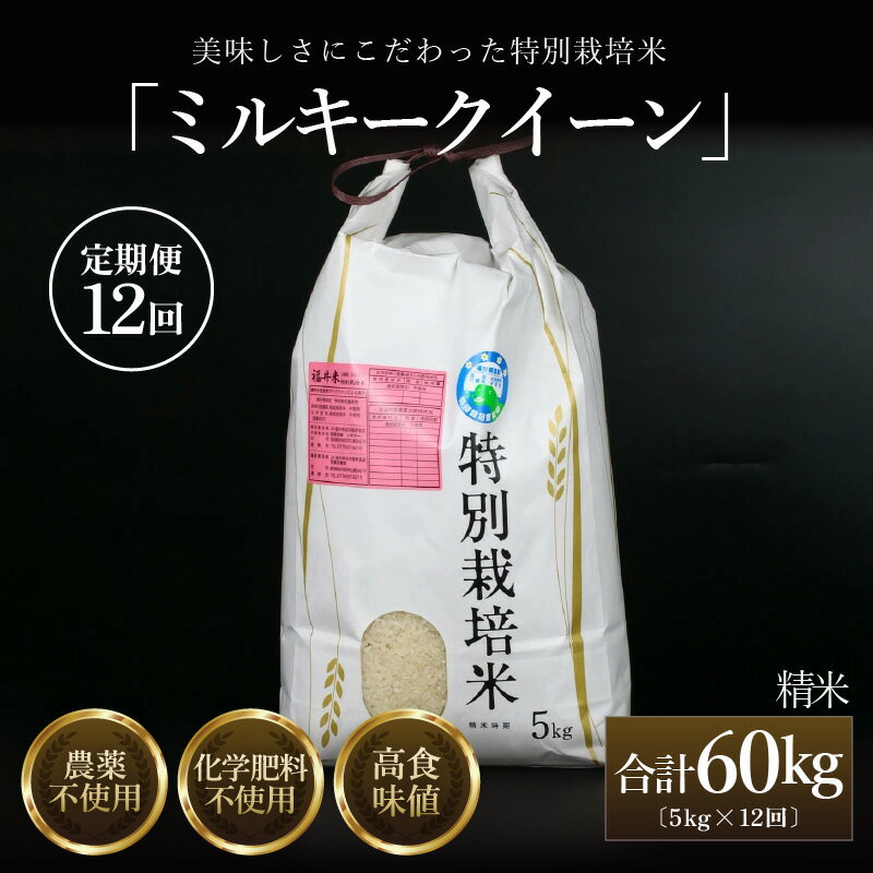 【ふるさと納税】【先行予約】【令和8年産 新米】定期便《12ヶ月連続お届け》特別栽培米 ミルキークイーン 精米 5kg (計60kg) 農薬不使用 化学肥料不使用 ／ 米 お米 定期便 高品質 鮮度抜群 福井県産 ブランド米 白米 あわら産 ブランド米 ※2026年10月上旬以降順次発送