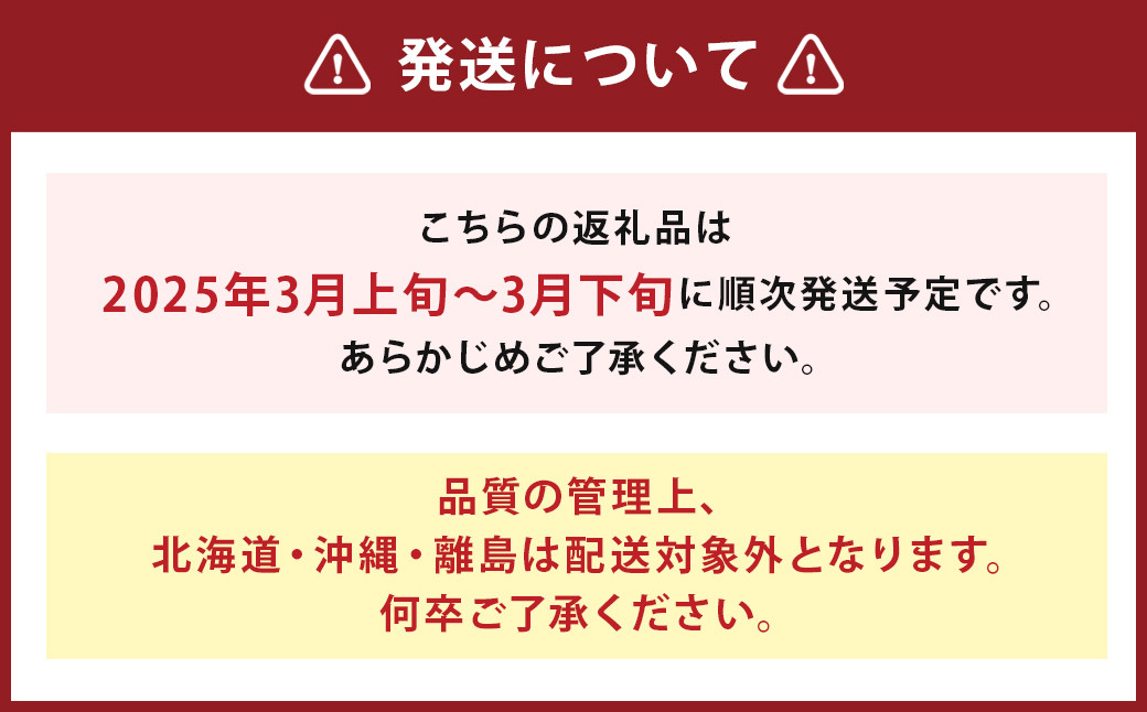 【訳あり】 福岡県産 あまおう 約1.3kg 約330g×4パック