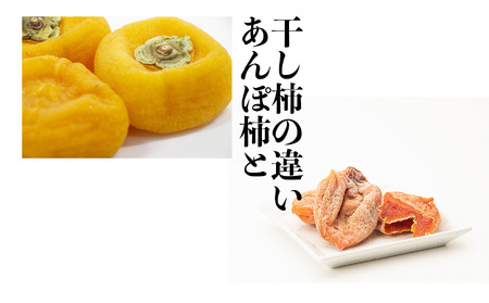 あんぽ柿　３個入り×６パック | フルーツ くだもの 果物 柿 かき カキ あんぽ柿 奈良県 五條市 干し柿 スイーツ お菓子 ＜11月上旬～3月下旬頃順次発送＞