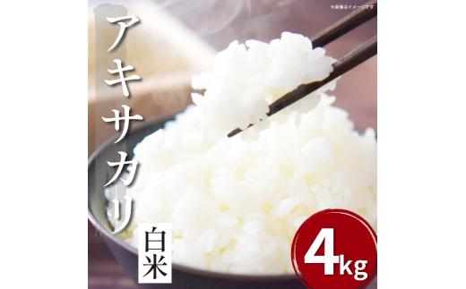 【先行予約】令和7年産 米 白米 4kg （ 2kg × 2袋 ）アキサカリ 令和7年度産 新米 1袋2kg 小分け お米 こめ 白米 精米 ごはん ご飯 白飯 ゴハン コメ 吉野川 徳島県 吉野川市