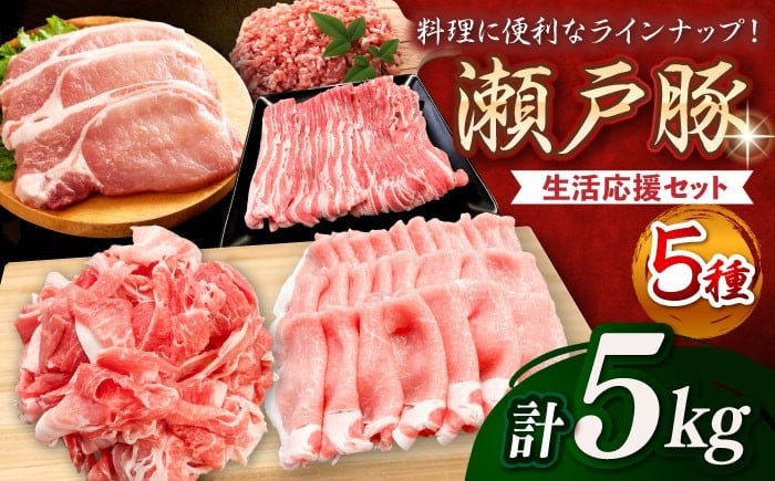 
            瀬戸 豚 生活応援 セット 計5kg / 豚肉 小分け ミンチ 切り落とし バラ肉 豚ロース しゃぶしゃぶ用 バラスライス とんかつ 豚ミンチ 豚肉セット 小分け 豚 バラエティセット   / 瀬戸市 / 関屋精肉店 [BBBQ160]
          