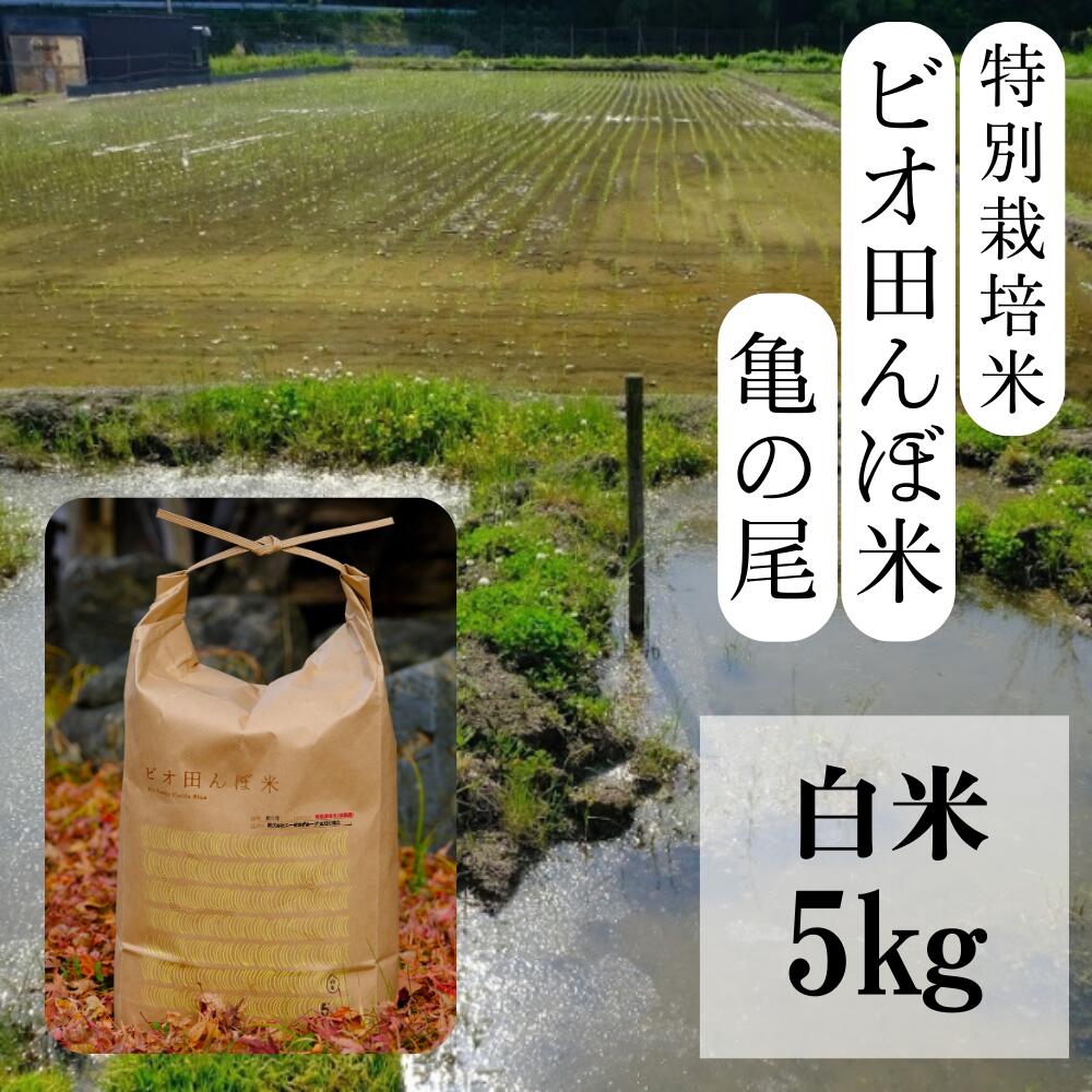 【ふるさと納税】【特別栽培米】R6年産 ビオ田んぼ米 亀の尾 白米5kg_A-df-ADZA