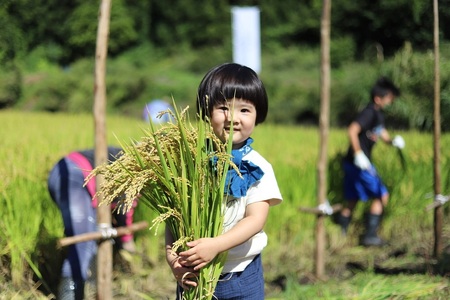 最上町の地酒　「山と水と、」火入れ1本