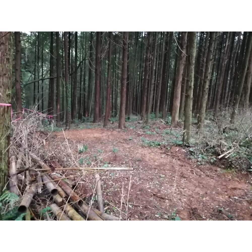【ふるさと納税】アウトドアキャンパー向け森林レンタル（フォレンタ筑前キャンプエリア） | スポーツ アウトドア キャンプ