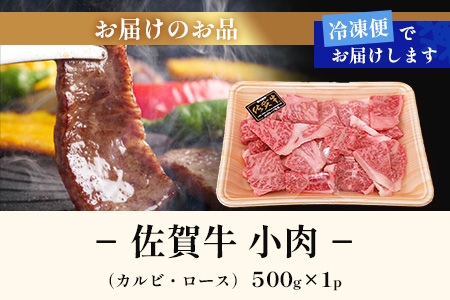 【訳あり】佐賀牛 焼肉 セット 小肉 500g ( カルビ ロース ) 黒毛和牛 詰め合わせ 焼肉セット B-840