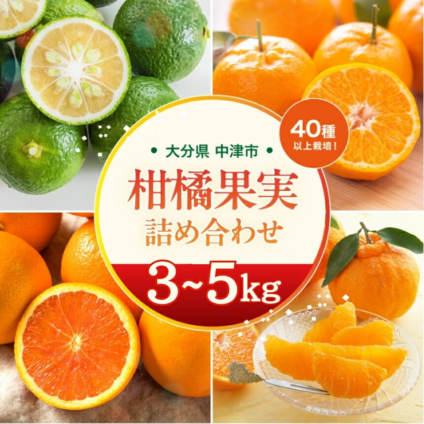 【ふるさと納税】【期間限定】おはら果樹園果実詰め合わせ 3~5kg | フルーツ 果物 くだもの 果実 柑橘 柑橘類 セット 詰め合わせ ( みかん ポンカン はるみ 不知火 等) おはら果樹園 産地直送 大分県 中津市 送料無料【発送は2025年12月中旬～2026年3月中旬頃までの予定】