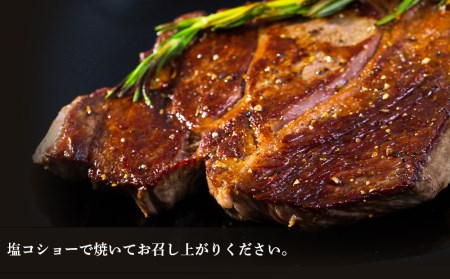 特製ラム ティーボーン ステーキ 10枚（約850g）＜肉の山本＞ お肉 肉 にく ニク 羊肉 らむ ラム肉