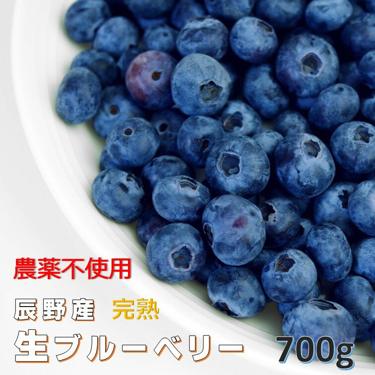 【ふるさと納税】 240 農薬不使用 国産 ブルーベリー 700g限定品 手摘み 長野県 認証 取得 ！先行予約！