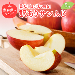 【2026年1月下旬発送】 【訳あり】 りんご 約5kg サンふじ 青森りんご