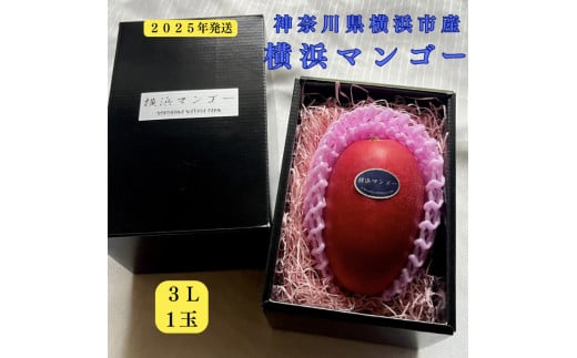 横浜マンゴー　横浜産完熟マンゴー　アーウィン種　３L（450〜509g程度）