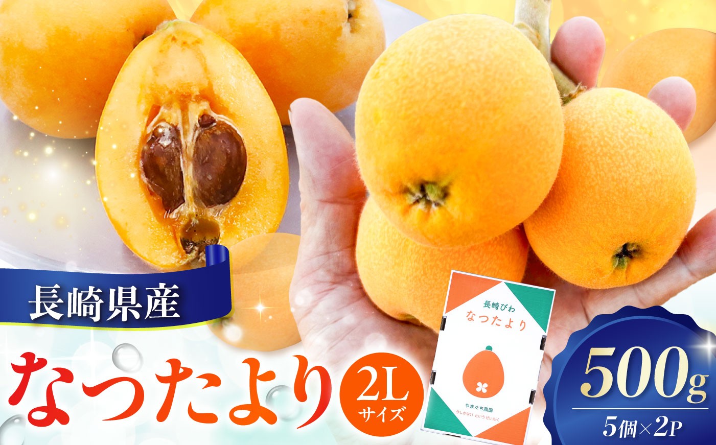 
                  長崎県産びわ なつたより500g（2Lサイズ5個×2P）長崎県/やまぐち農園 [42AACQ001] びわ ビワ 枇杷 果物 フルーツ なつたより ナツタヨリ ハウス 果実 長崎県産 国産
                