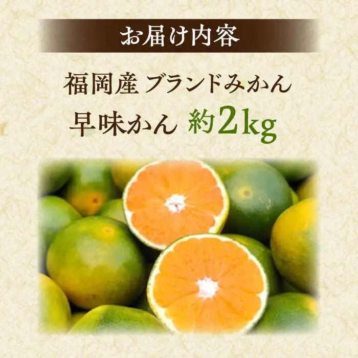 【2026年9月中旬より発送】福岡産ブランドみかん 早味かん 約2kg 桂川町/南国フルーツ株式会社 [ADBW022] 