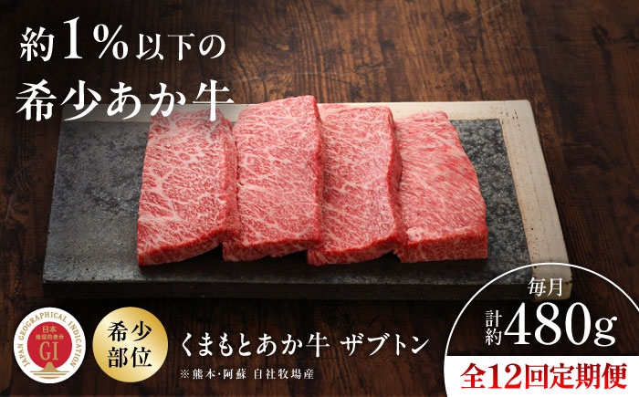 
                  【全12回定期便】【GI認証】くまもとあか牛ザブトン 約120g×4枚 /  菊陽町 あかうし 熊本県 肉 にく niku ブランド 旨み くまもとあか牛 和牛 阿蘇 自然 自社牧場 直接 最高 上質 牛 牛肉 ぎゅうにく ぎゅう肉 冷凍 贅沢 ご褒美 九州 国産 GI 【有限会社 三協畜産】[BHAS071]
                