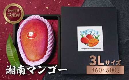 【先行予約】マンゴー アーウィン種 湘南マンゴー ＜3Lサイズ＞2026年発送
