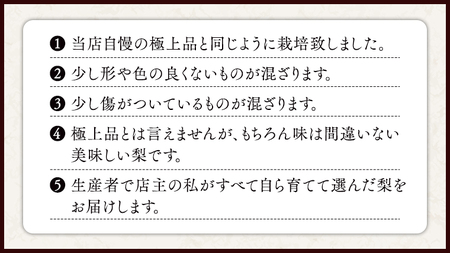 極上の雫 『 豊水 』 5kg ( 自家用 ) フルーツ 果物 国産 日本産 梨 ナシ なし 和梨 [DJ002ci]