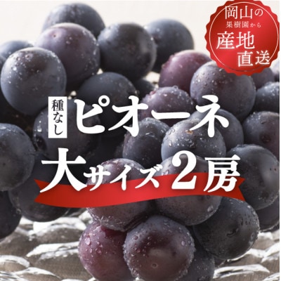 果樹園自慢のピオーネ! 甘さも濃厚 大サイズ2房入/計1.3kg～ ご家庭用(岡山県産)【配送不可地域：離島・北海道・沖縄県】