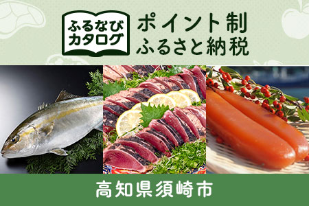 【有効期限なし！後からゆっくり特産品を選べる】高知県須崎市カタログポイント