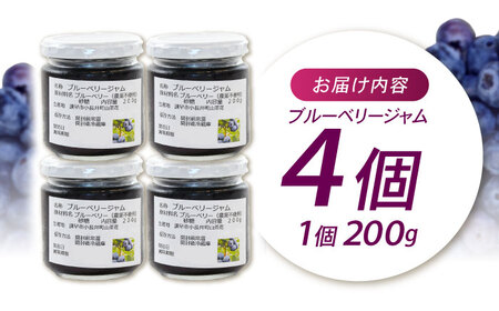果肉ごろごろ手作りブルーベリージャム(200g×4個)