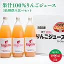 【ふるさと納税】果汁100% りんごジュース 3品種飲み比べセット tageme1L×3本 那由多のりんご園 林檎 林檎ジュース フルーツ 果物 アップル 青森県 平川市 平川市産 お取り寄せ 果汁 100% リンゴジュース ジュース 果汁 のみくらべ お取り寄せ 飲料