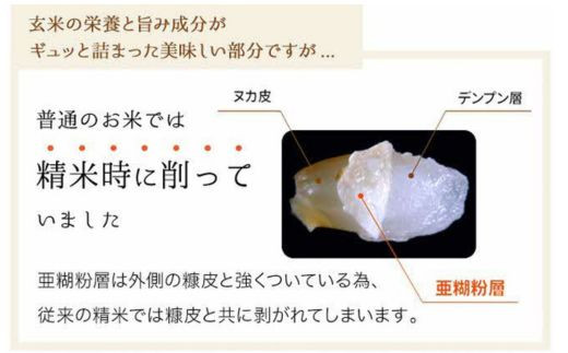 【先行受付】新米 令和7年産 BG無洗米・金芽米にこまる 5kg 計量カップ付き 【先行予約 新米予約 予約 時短 健康 カロリーオフ うまみ 甘み 栄養 おいしい やわらかい ふっくら ビタミン ミ