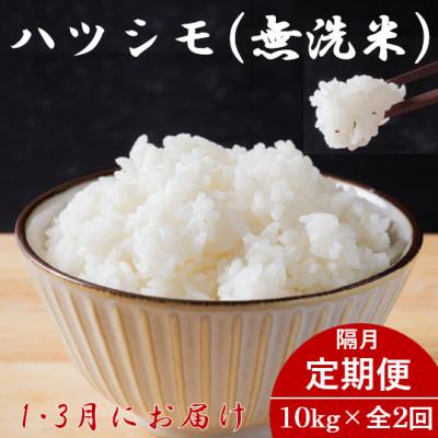 ふるさと納税 羽島市 【発送月固定定期便】生産者応援!岐阜県産ハツシモ無洗米10kg【1・3月】【隔月定期便】全2回