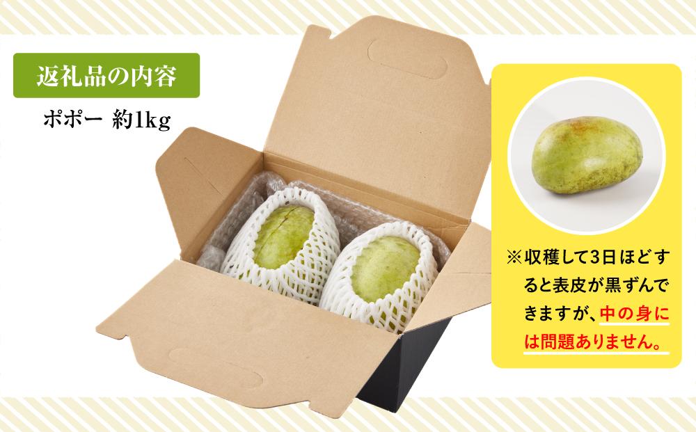 【2025年9月中旬頃より発送】ポポー 約1kg【受取日事前打合せ可能な方限定】【配送不可：離島】幻の果実 レア フルーツ ポポー 健康 美容 美肌 ファーム池の沢 静岡市