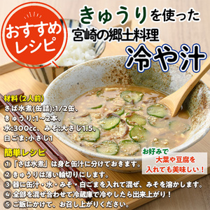 ＜数量限定・期間限定＞高千穂地区高冷地野菜詰め合わせ(5種) やさい きゅうり ピーマン トマト ミニトマト なす 茄子 冷蔵 季節 新鮮 旬 産地直送 【NK017】【宮崎県農業協同組合　高千穂地区