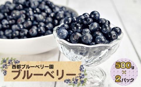 朝どれ新鮮『生ブルーベリー』1ｋｇ（250ｇ×4パック）【先行予約】〈1.2-36〉
