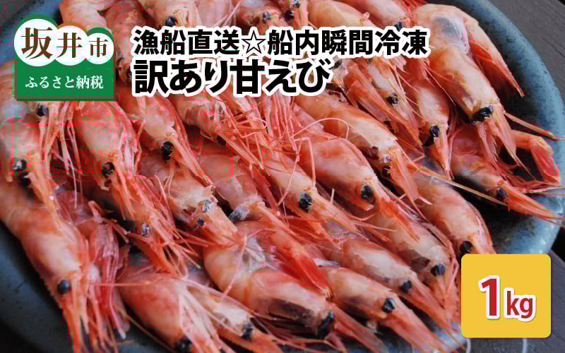 
            【訳あり】甘えび 約1kg 漁船直送☆船内瞬間冷凍【ワケアリ 海老 えび エビ アマエビ あまえび 甘海老 殻付き 有頭 生食 刺身 冷凍 魚介類 魚貝類 産地直送 坂井市産 福井県産 国産 三国 人気】 [A-23105]
          