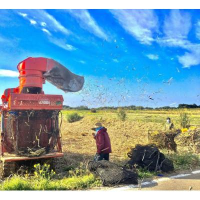 ふるさと納税 喜界町 黒砂糖粉【加工黒糖】500g×10袋　宜(よろし)【喜界島特産】 |  | 02