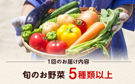 【全3回定期便】 米ぬかで育てた！旬のお野菜セット 詰合せ 詰め合わせ 新鮮 産地直送 おまかせ やさい 野菜セット 大阪府高槻市/ベジ彩ファーム[AOEJ005]