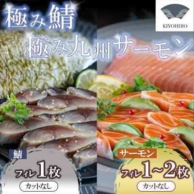 ふるさと納税 須恵町 そのままお召し上がりいただける!極み鯖・極み九州サーモンセット(須恵町)