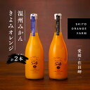 【ふるさと納税】saito orange farm 温州みかん720ml×1本＋清見720ml×1本 計2本セット※2024年5月以降順次発送※着日指定不可※離島への配送不可