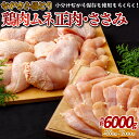 【ふるさと納税】【鶏肉むね・ささみ 計6000g】ながさき福とり むね正肉 1000g×4 ささみ 500g×4 計6kg 小分けパック 長期保存可能 冷凍 3ヶ月 鶏肉 モモ ササミ 飼料にハーブ配合 臭みなし 筋や血管を手作業で除去 送料無料