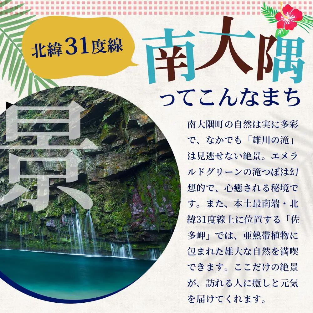 【返礼品なし】南大隅町への寄附　1口15,000円