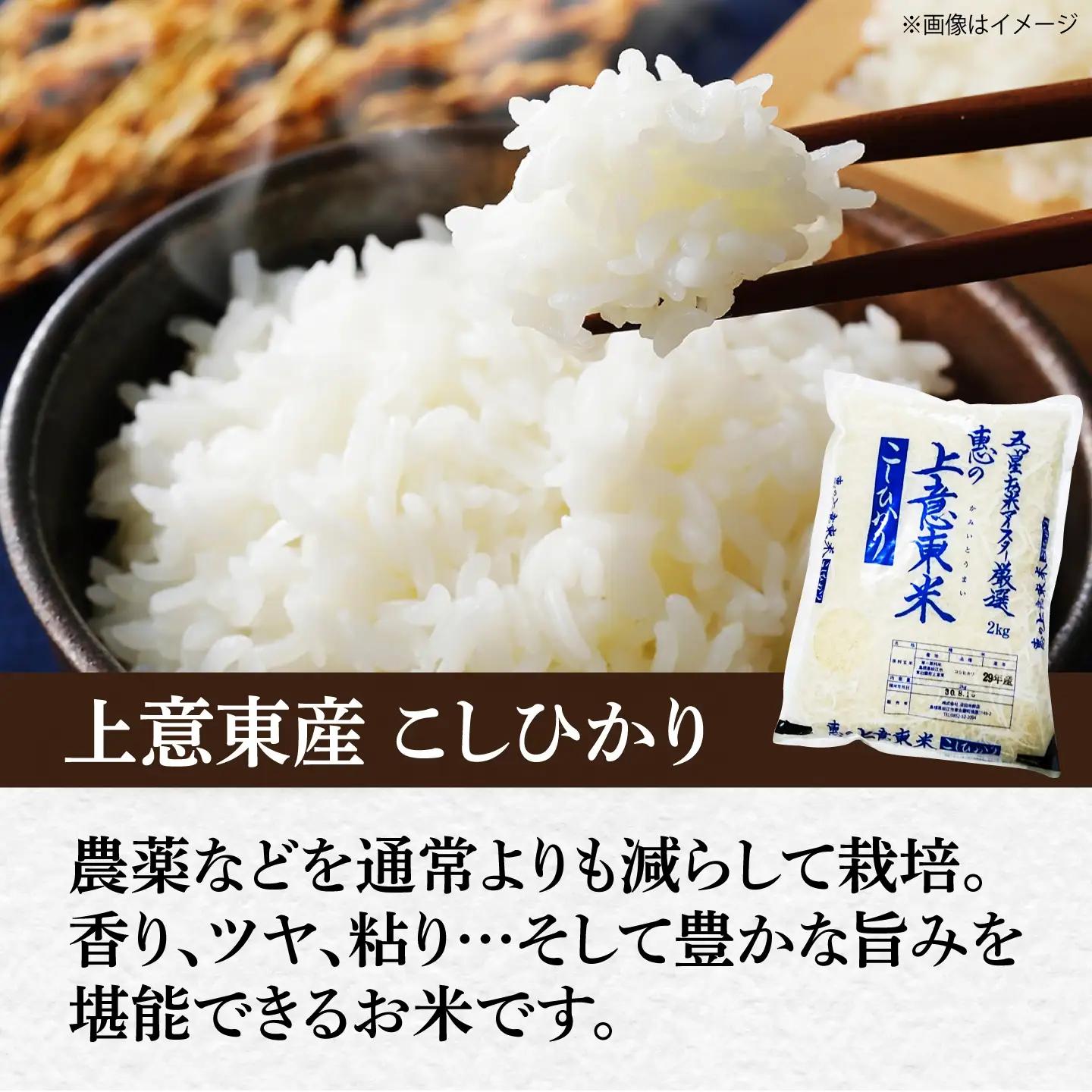 白米 コシヒカリ 7kg 令和7年度産 [ALBU006] 白米